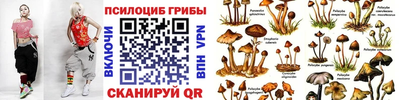 Псилоцибиновые грибы ЛСД  KRAKEN ONION  Туапсе 